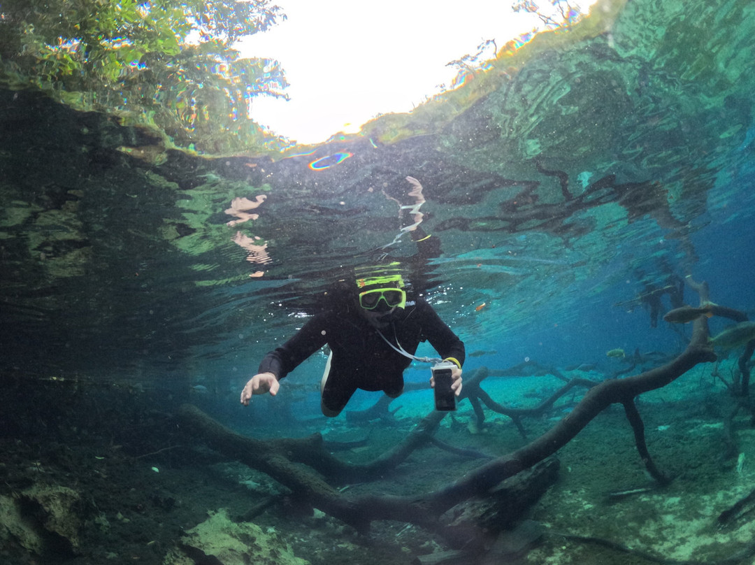 Recanto Ecologico Rio da Prata-博尼图必去景点