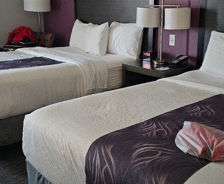 达拉斯大草原城北拉昆塔温德姆套房酒店主图