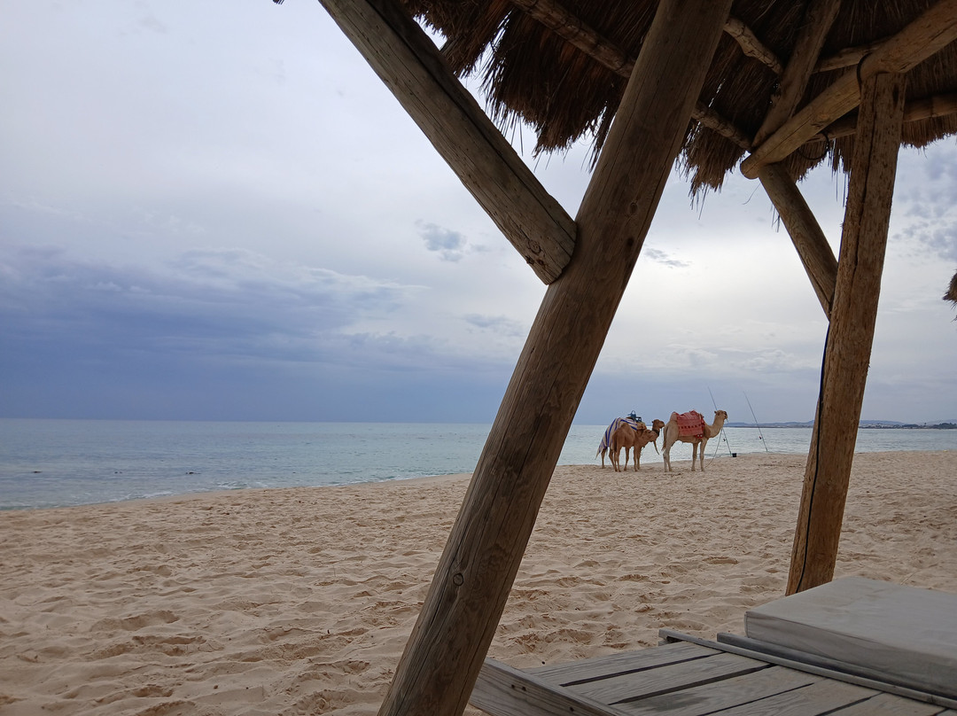 Les Orangers Garden Villas and Bungalows Ultra All Inclusive