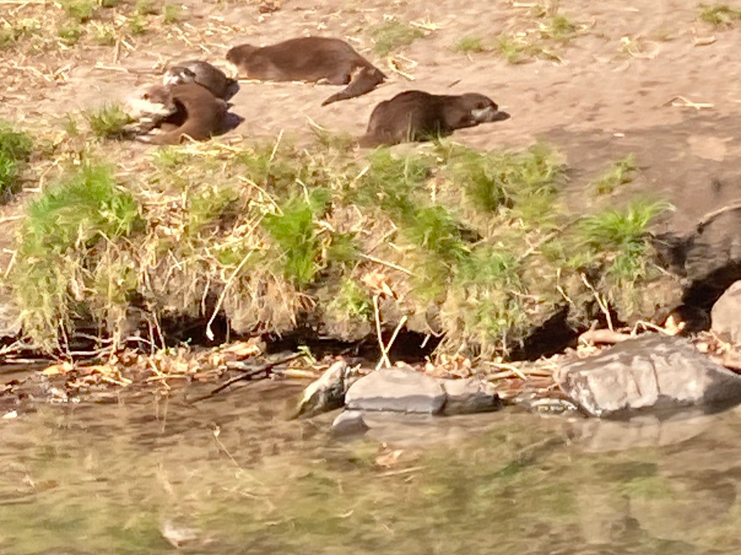 Center Parcs De Kempervennen主图