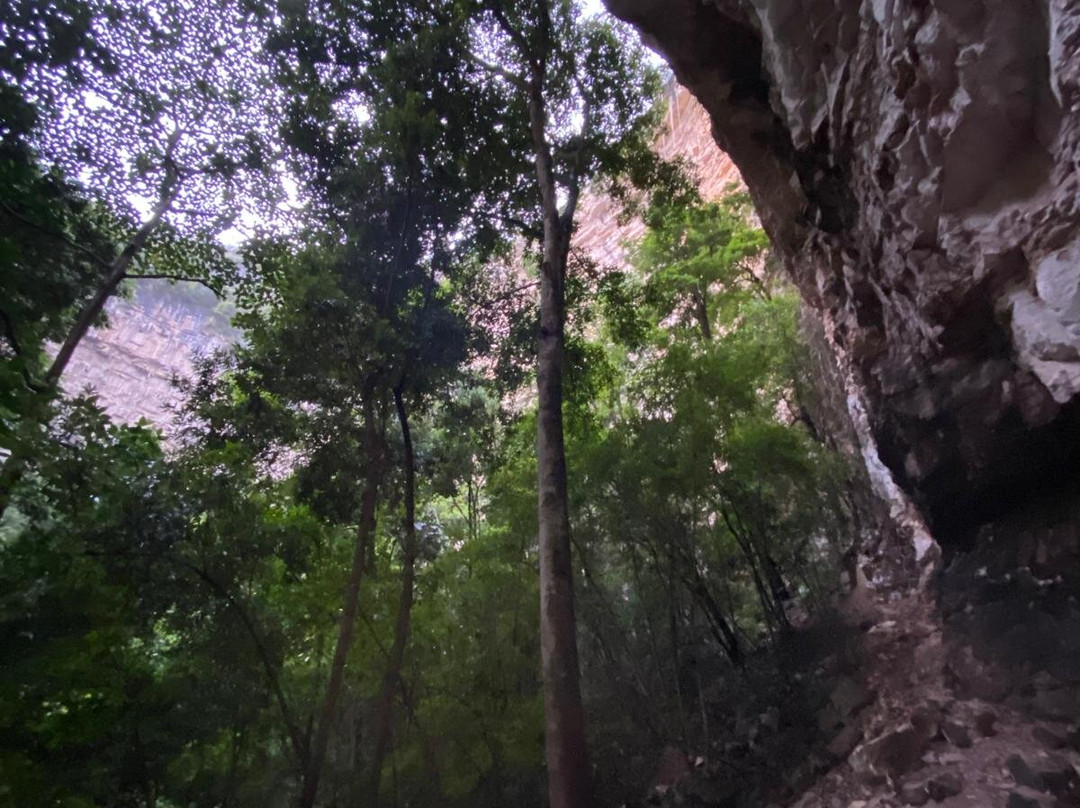 Sima de las Cotorras-恰帕斯必去景点