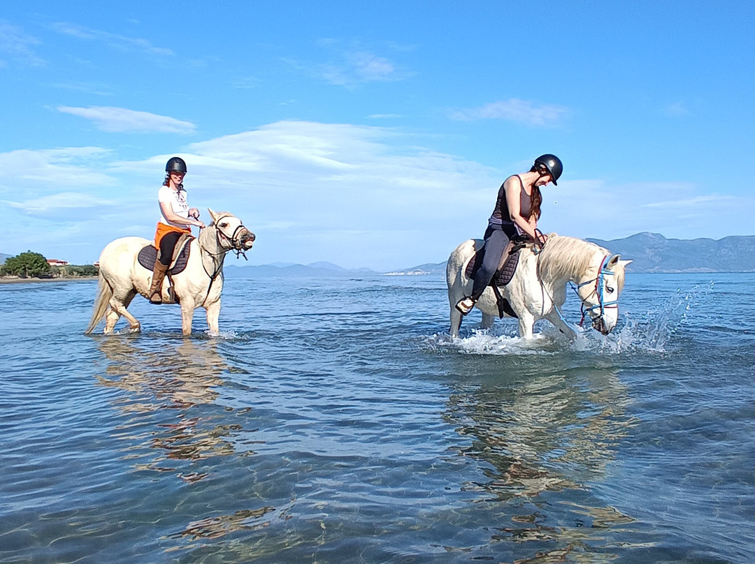 Darko World Horse Riding-Livanates必去景点