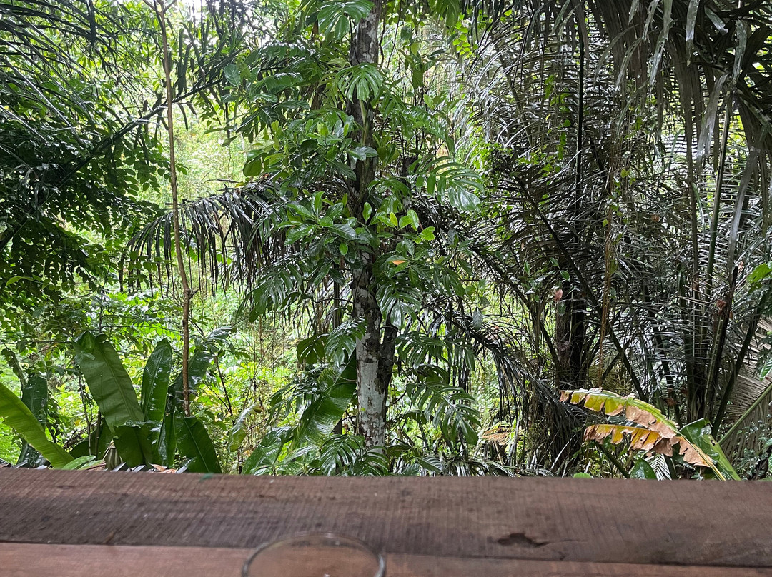 Beji Griya Waterfall-阿比安塞马尔必去景点