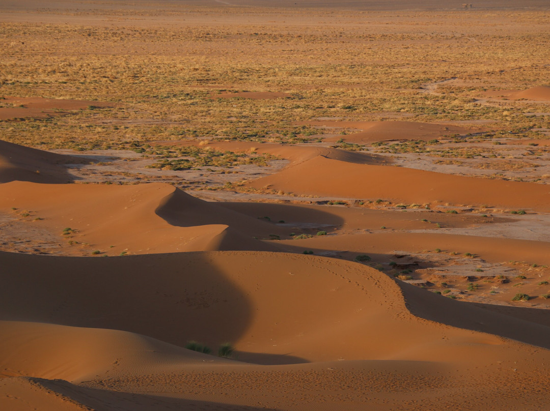 Sahara Desert Kingdom-马拉喀什必去景点