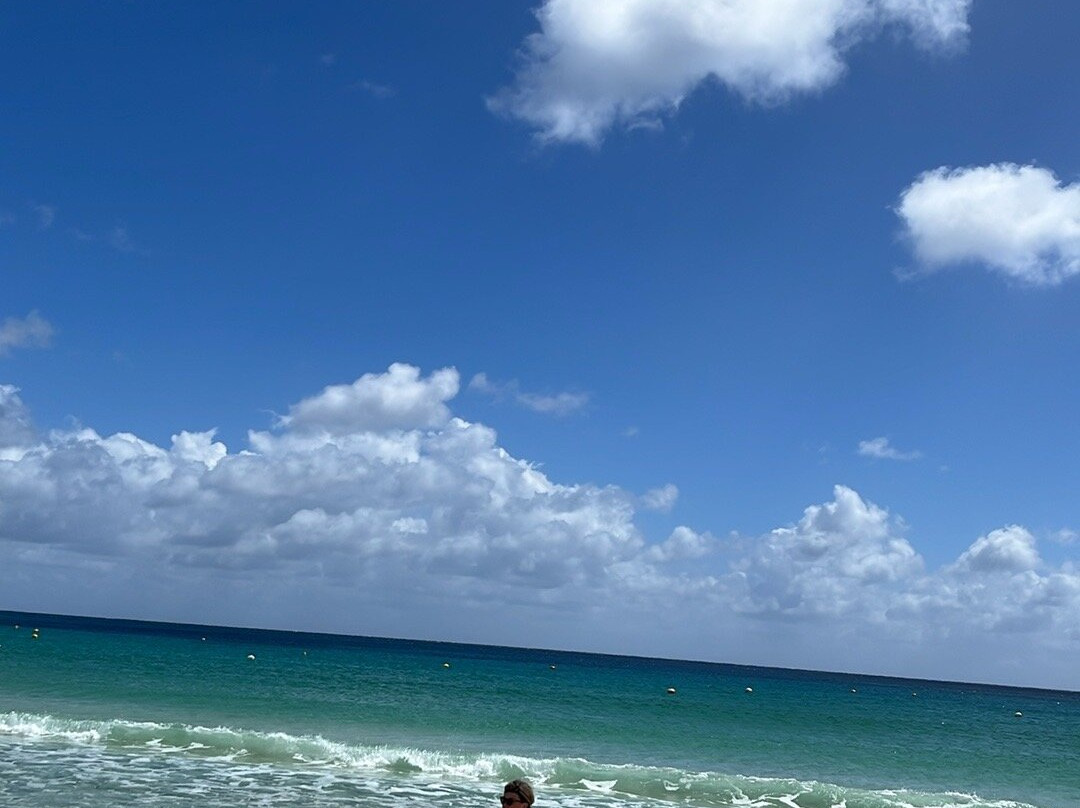 Eagle Bay Beach-Eagle Bay必去景点