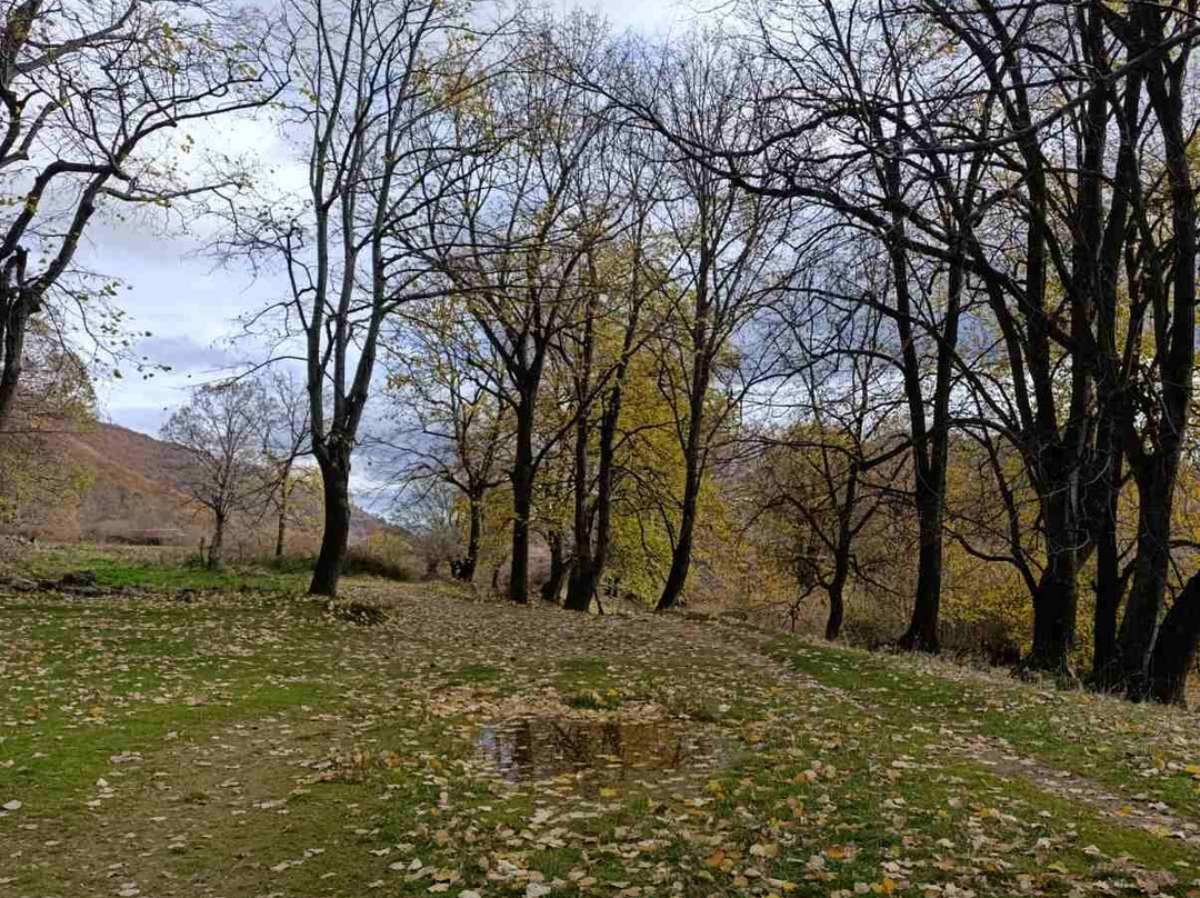 Artemis O.E.-Sklithro必去景点