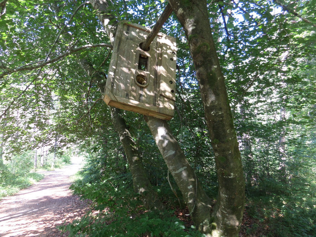 Ledro Land Art-莱德罗必去景点