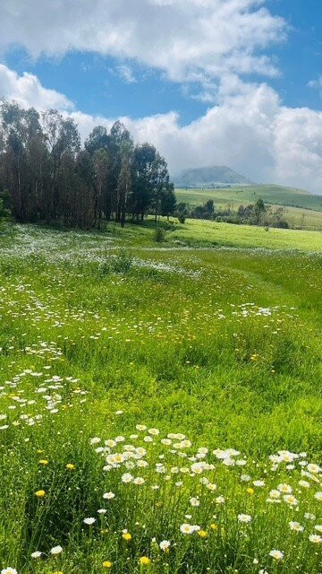 The Little Church Van Reenen-Van Reenen必去景点
