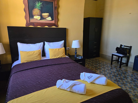 德尔佩雷格里诺酒店主图