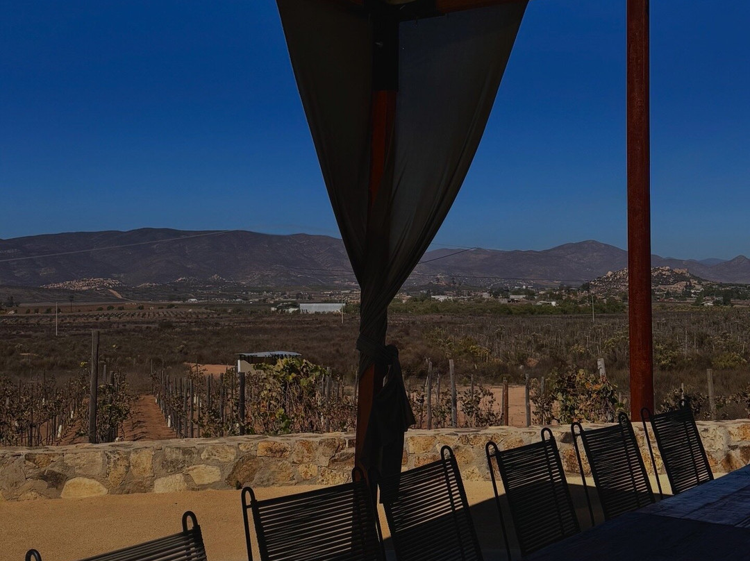 Xecue Vinicola-Valle de Guadalupe必去景点