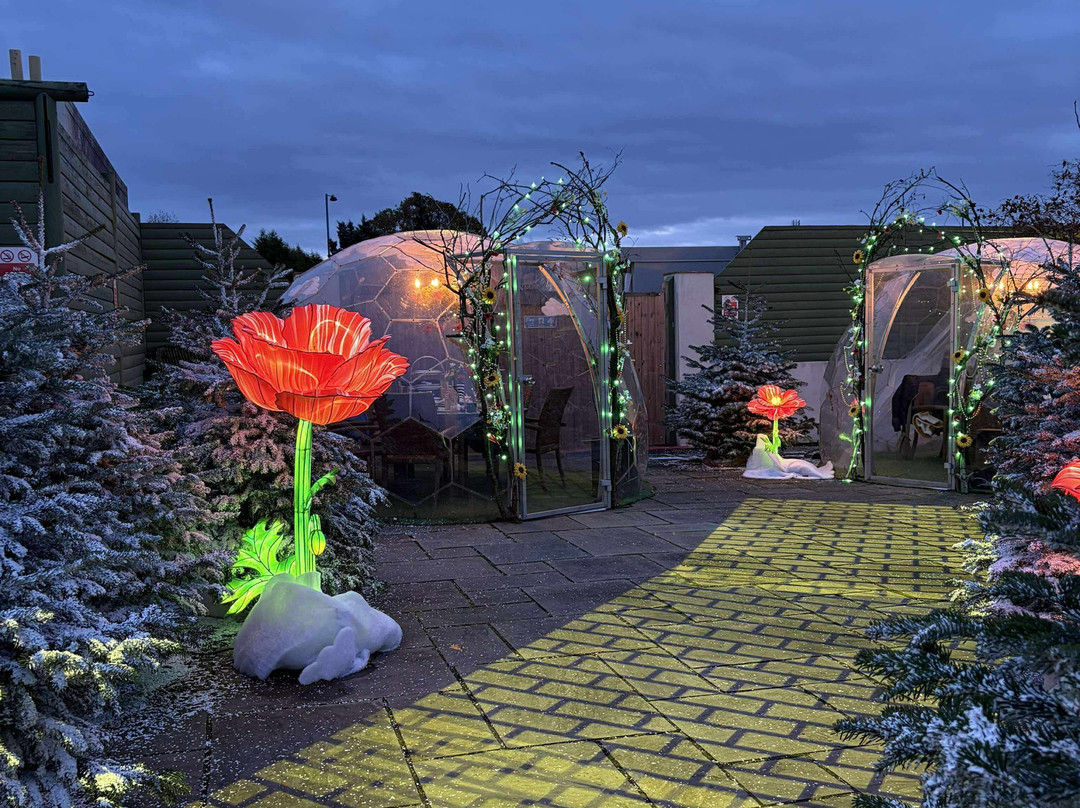 Webbs of Wychbold-德罗伊特威奇必去景点