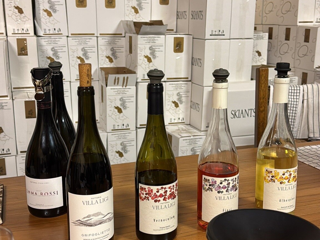 Fattoria Villa Ligi-Pergola必去景点