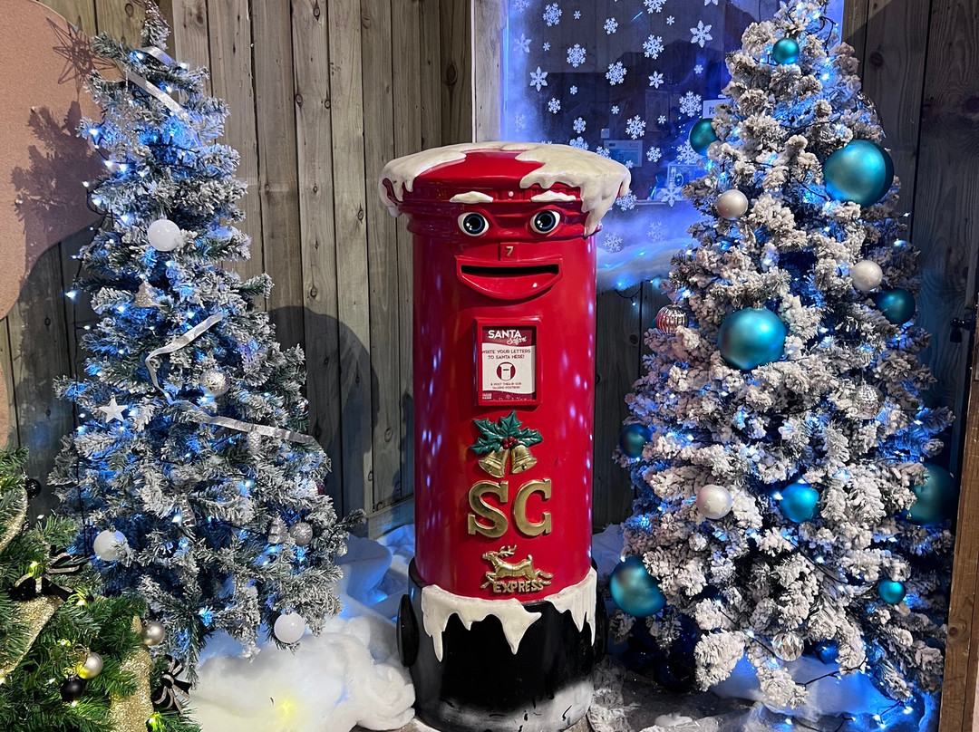 West Midlands Safari Park-Bewdley必去景点