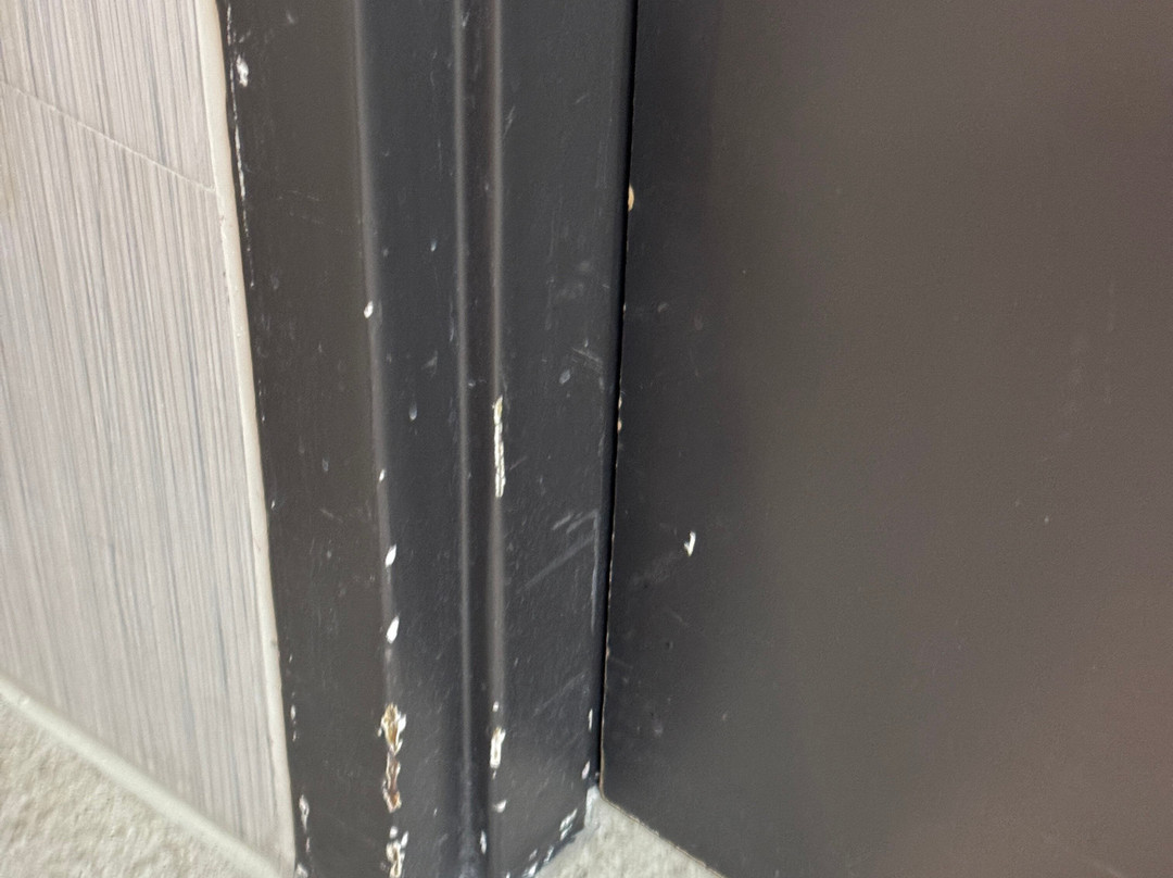 阿莱莎墨西卡利酒店主图