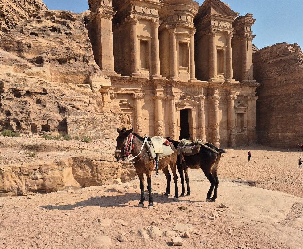 Jordan Inspiration Tours-佩特拉必去景点