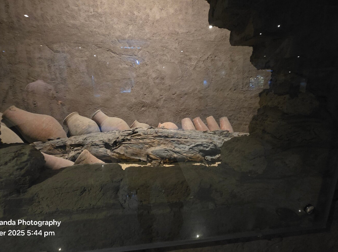 Crocodile Museum-Kom Ombo必去景点