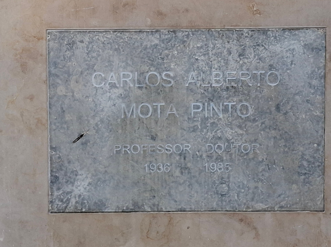Estátua Carlos Alberto Mota Pinto-Pombal必去景点