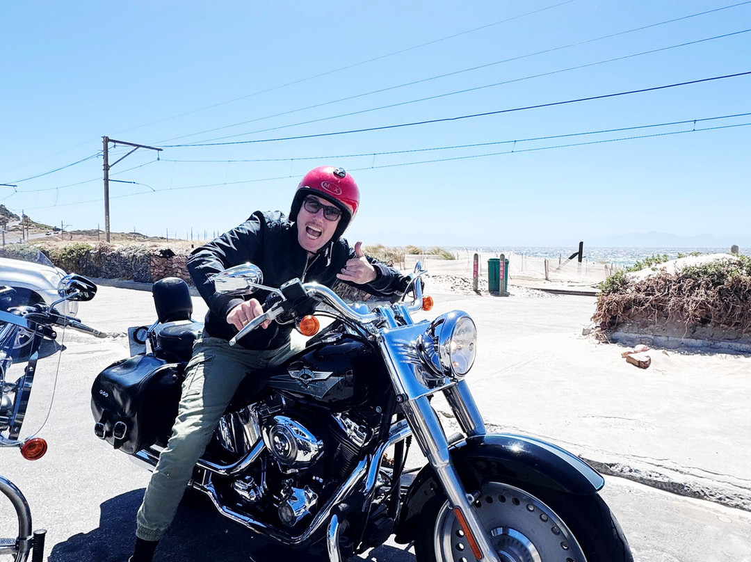 Cape Corporate Tours-开普敦中心区必去景点