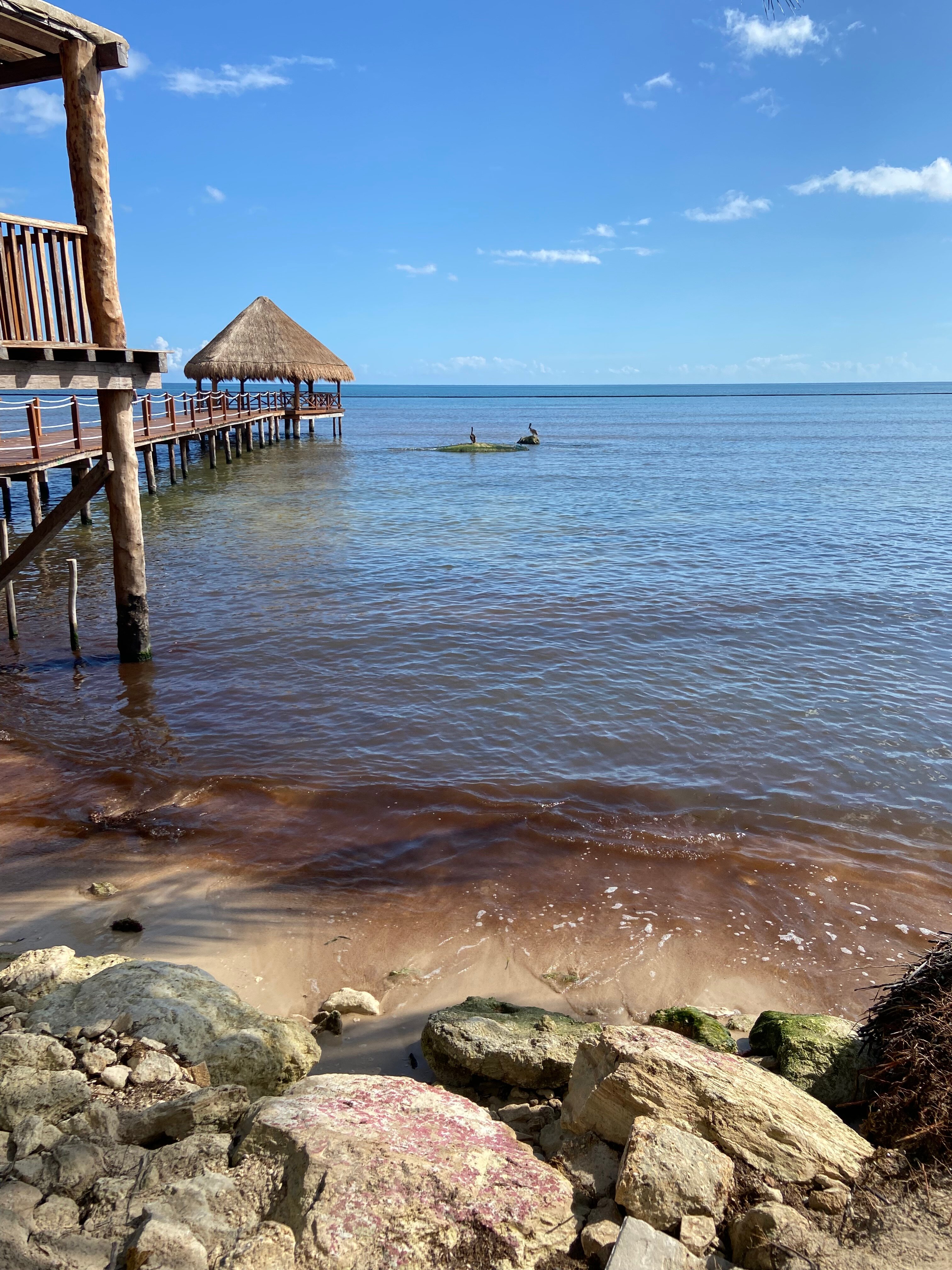 Dreams Puerto Morelos Resort & Spa-泳池