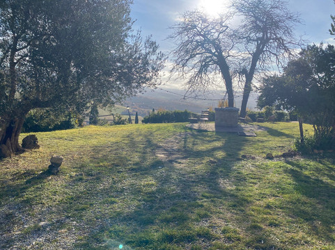 Vitalenta Agriboutique主图