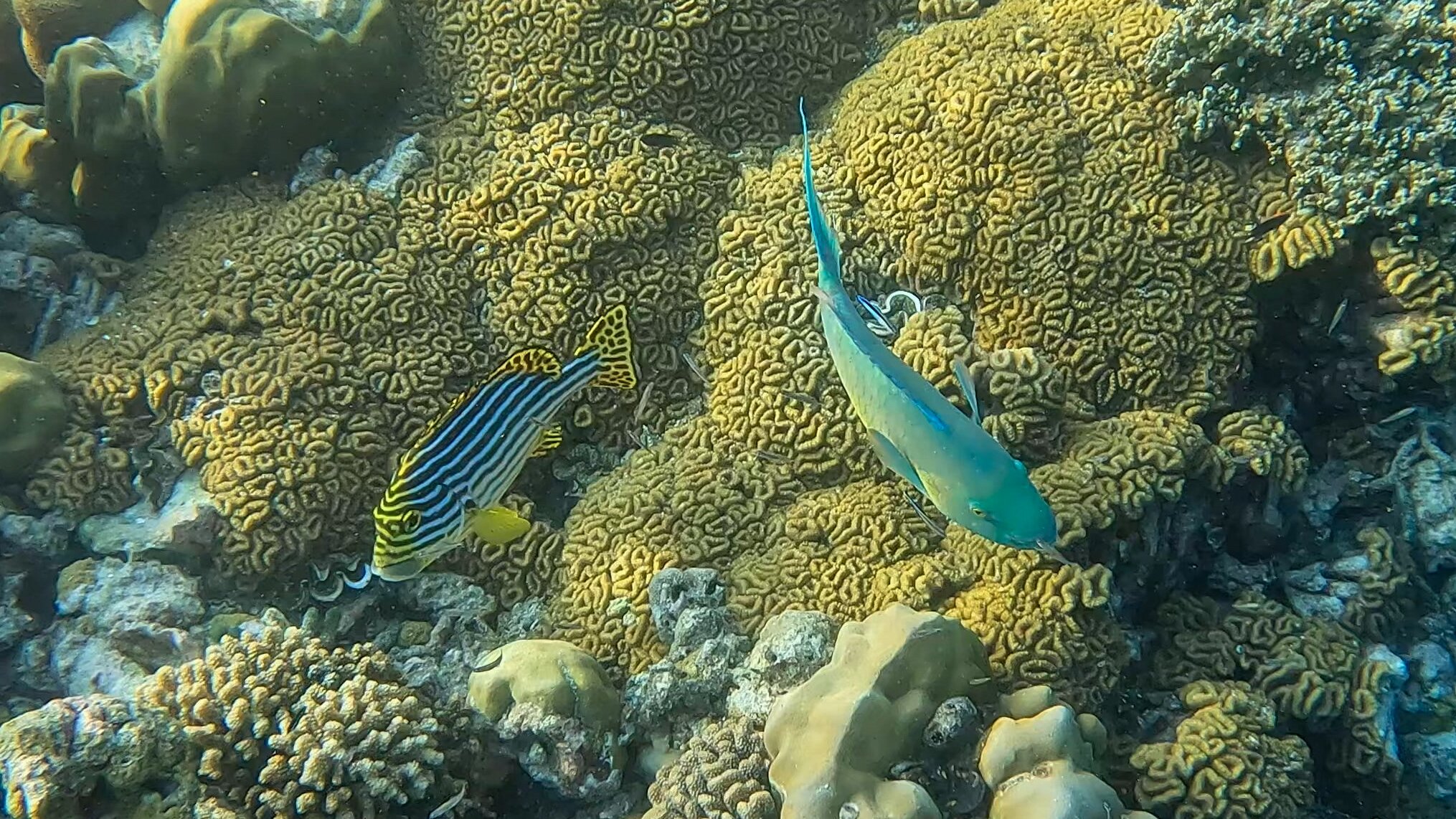 胡拉瓦尔西岛度假村-官方