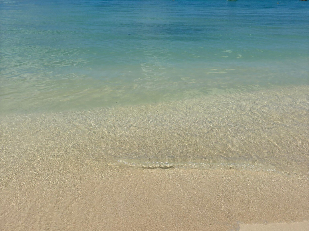 蒙舒瓦西海滩-蒙特乔伊喜必去景点