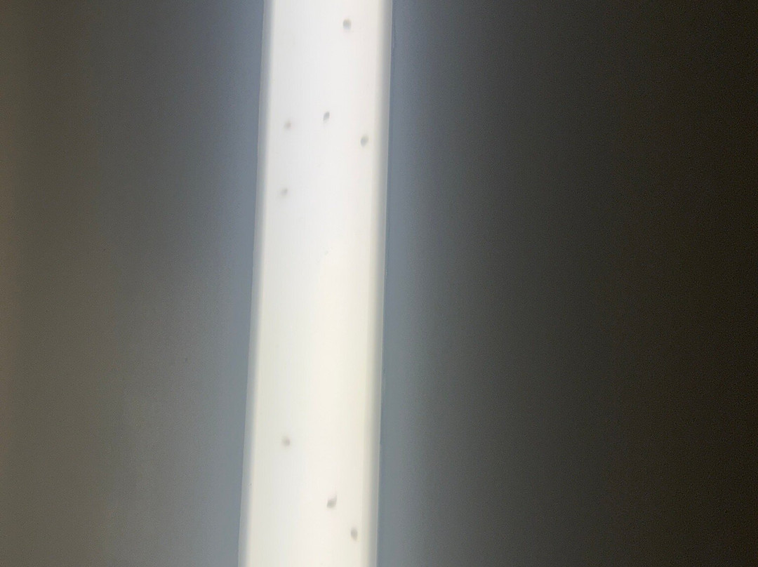 SpringHill Suites by Marriott Jackson主图