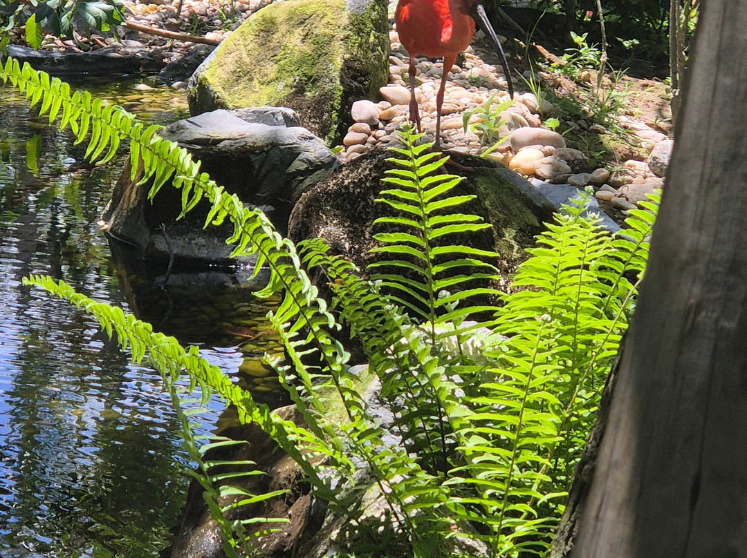 Parque Arvorar-Aquiraz必去景点