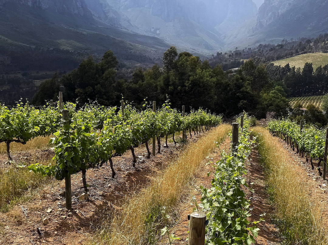 Rainbow's End Wine Estate-斯泰伦博斯必去景点