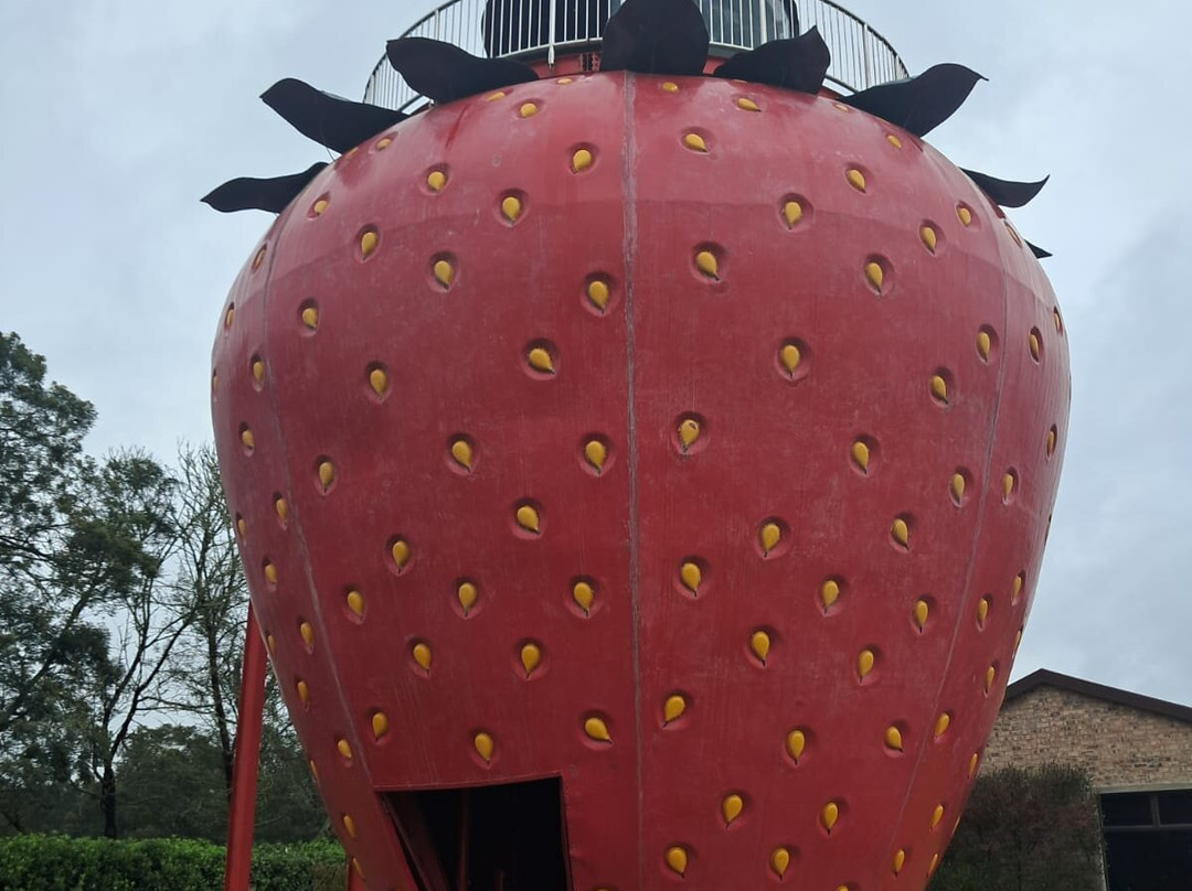 Redberry Farm-乔治必去景点