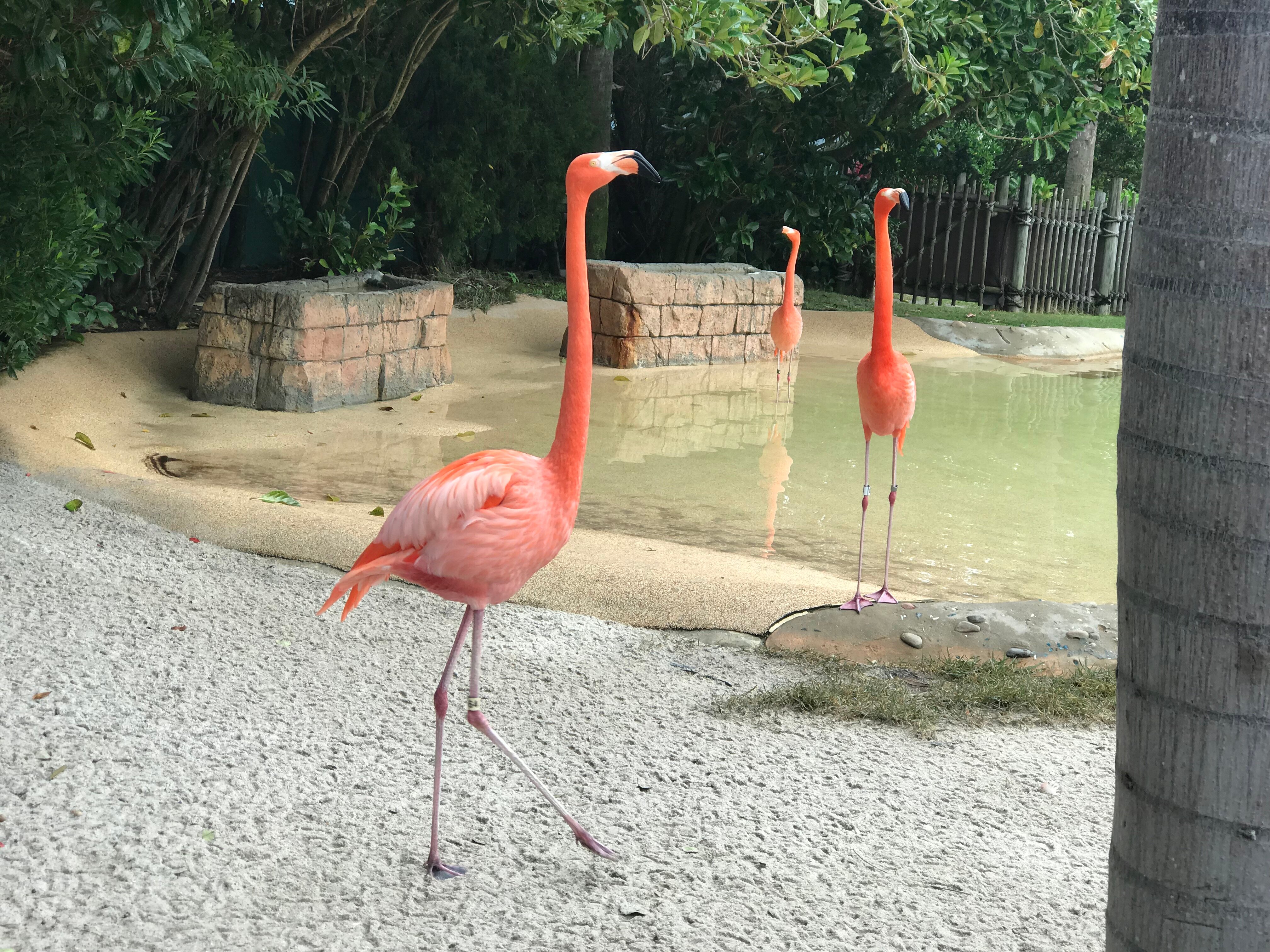 The Alfond Inn At Rollins-官方