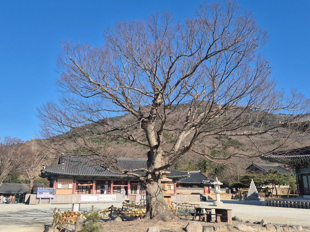 Dogapsa Temple-灵岩郡必去景点
