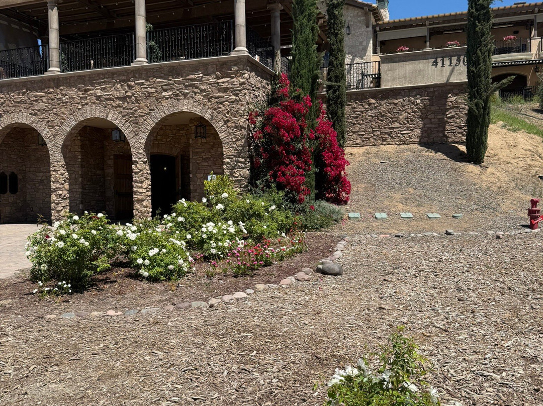 Europa Village Winery-特曼库拉必去景点