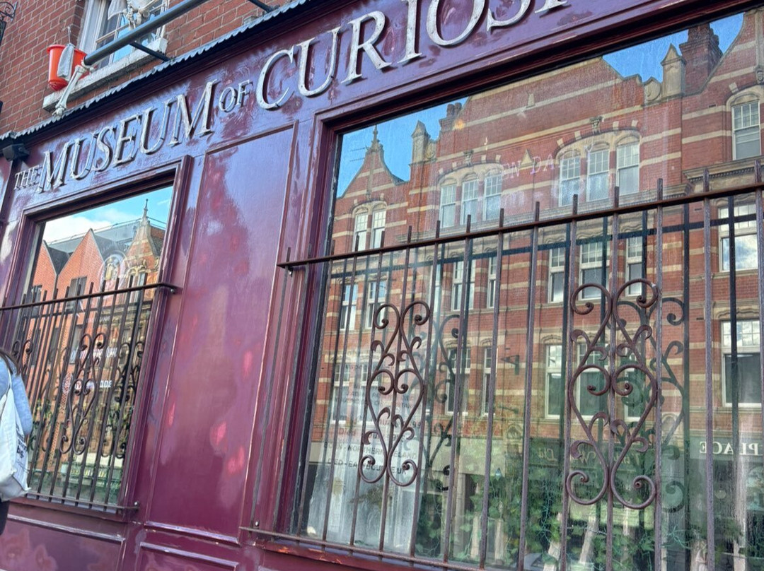 The Museum Of Curiosities-诺丁汉必去景点