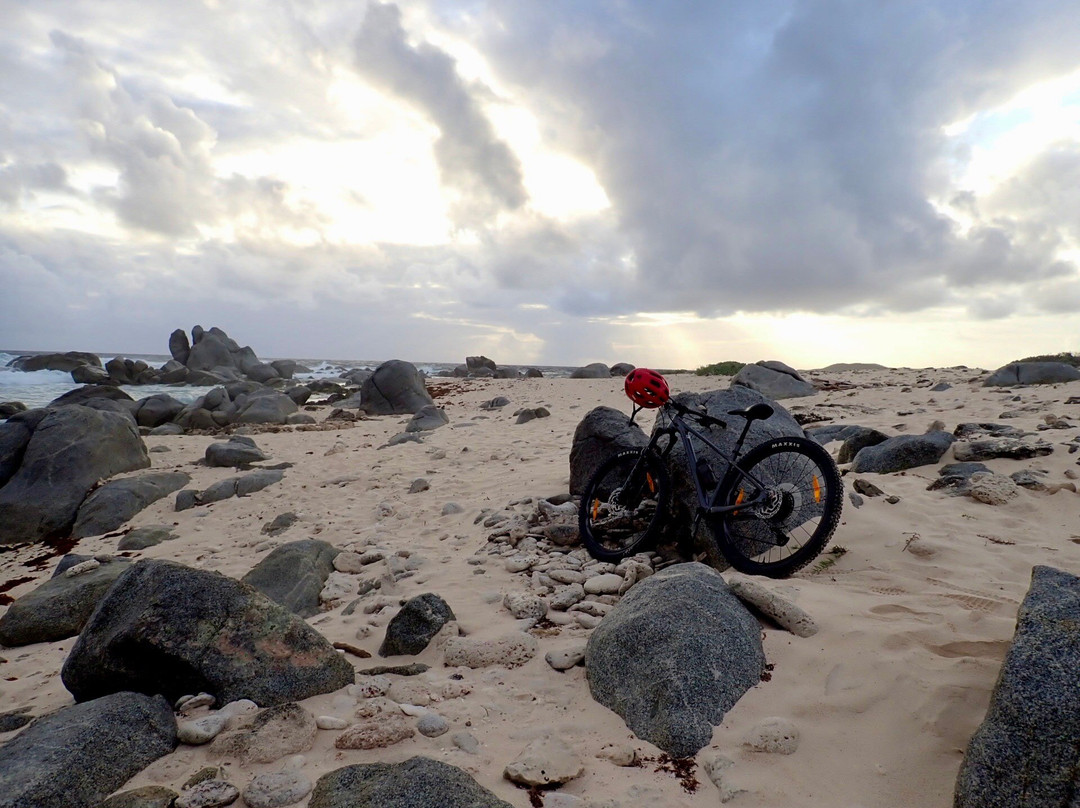 Aruba Active Vacations-Malmok Beach必去景点