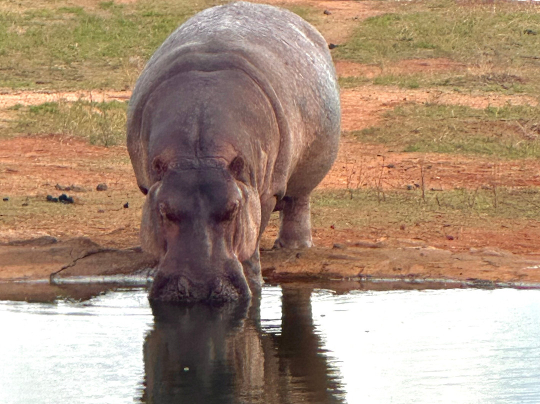 Totti Kenya-安博塞利国家公园必去景点