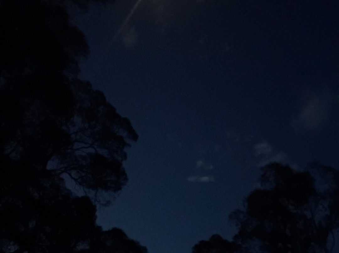 Boonoo Boonoo National Park-坦特菲尔德必去景点