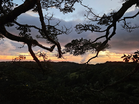 Finca Modelo Ecologica-蒙特沃德必去景点