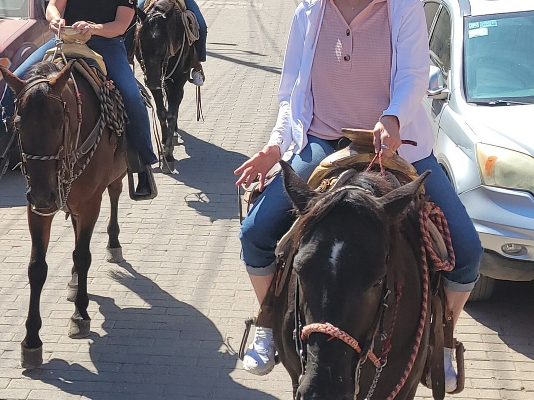 Hacienda el 20-Amatitan必去景点