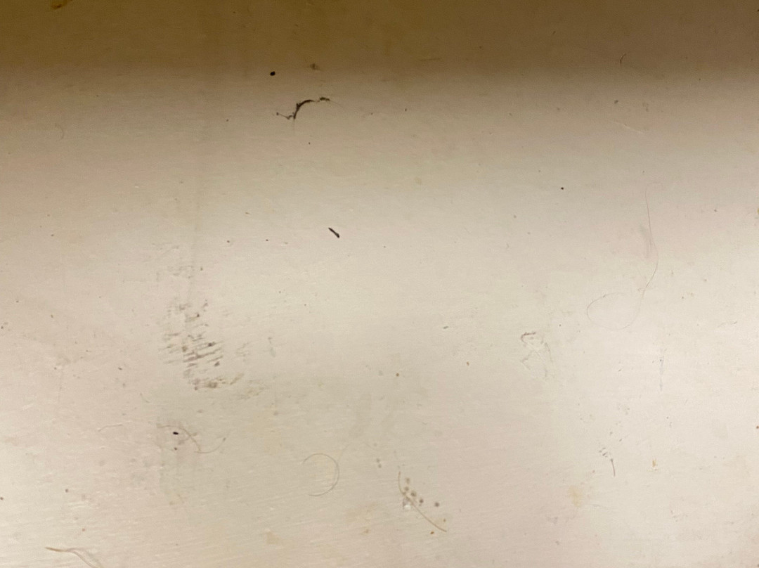 Extended Stay America Chicago - Westmont - Oak Brook主图