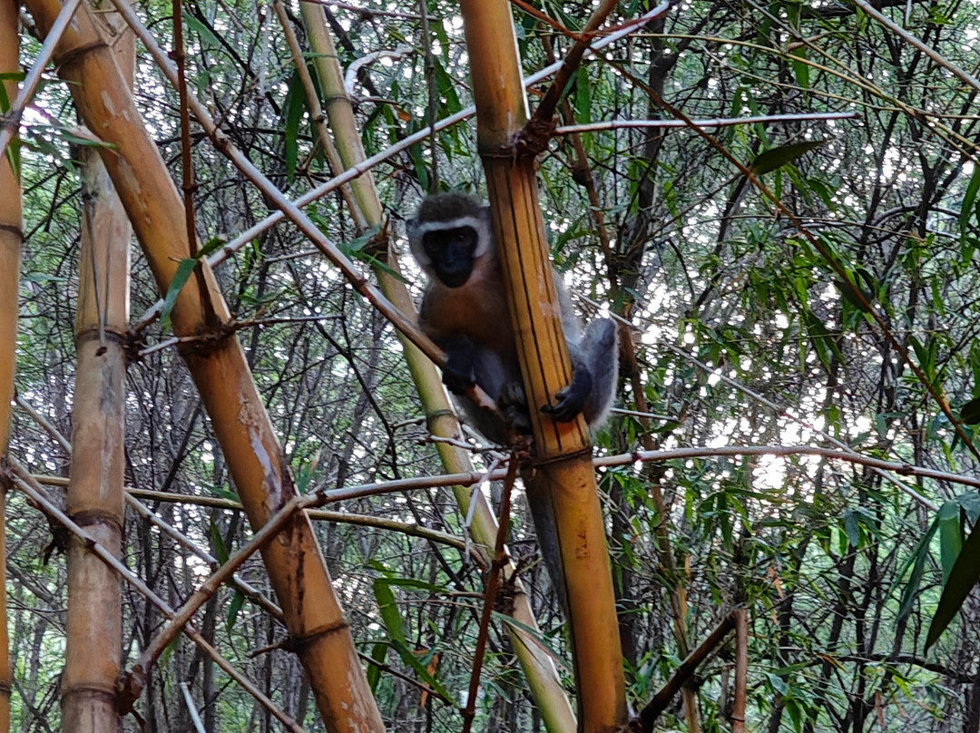 In Kenya con Alessandro - Day Tours-瓦塔木必去景点