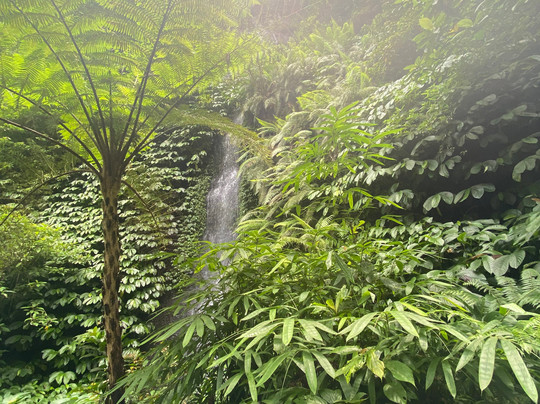 Sekumpul Waterfall Tour-新加拉惹必去景点