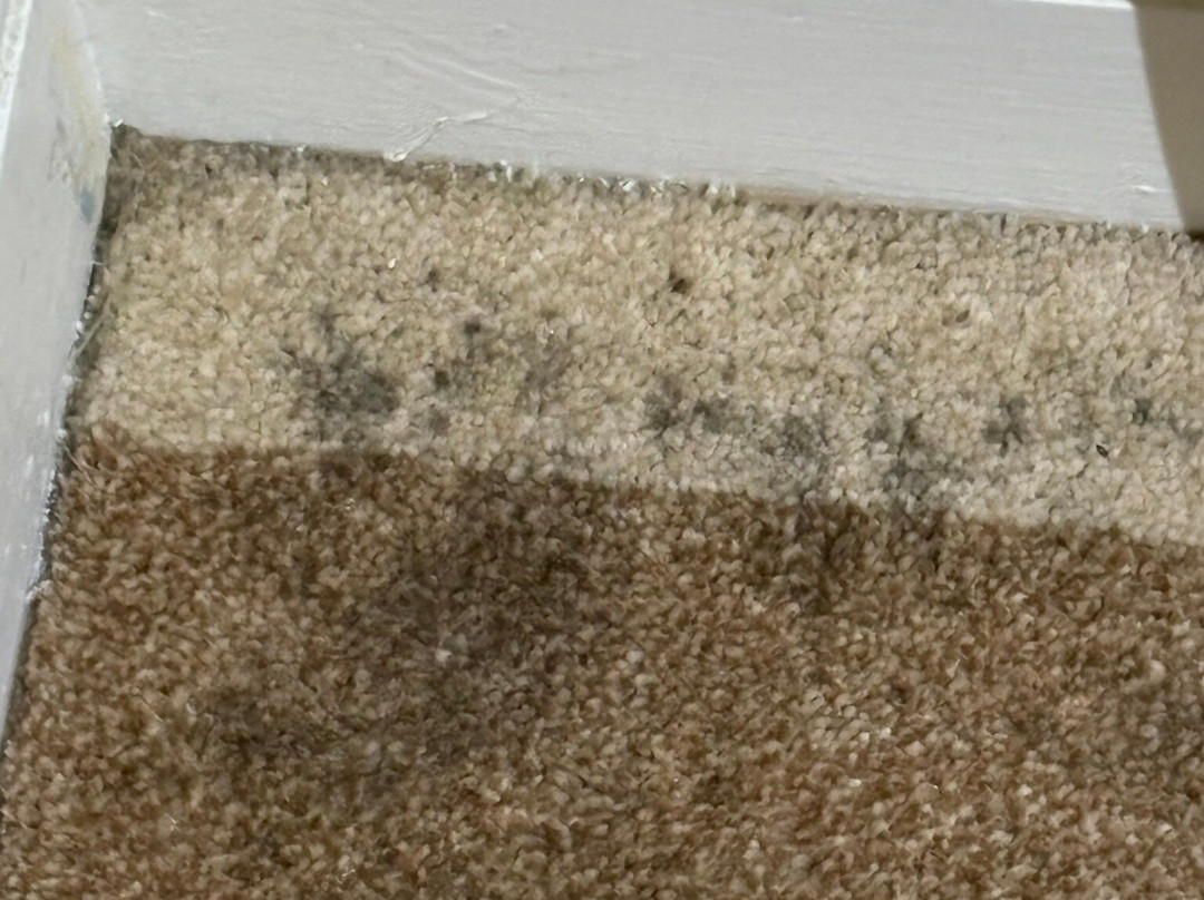 High Tor Hotel主图