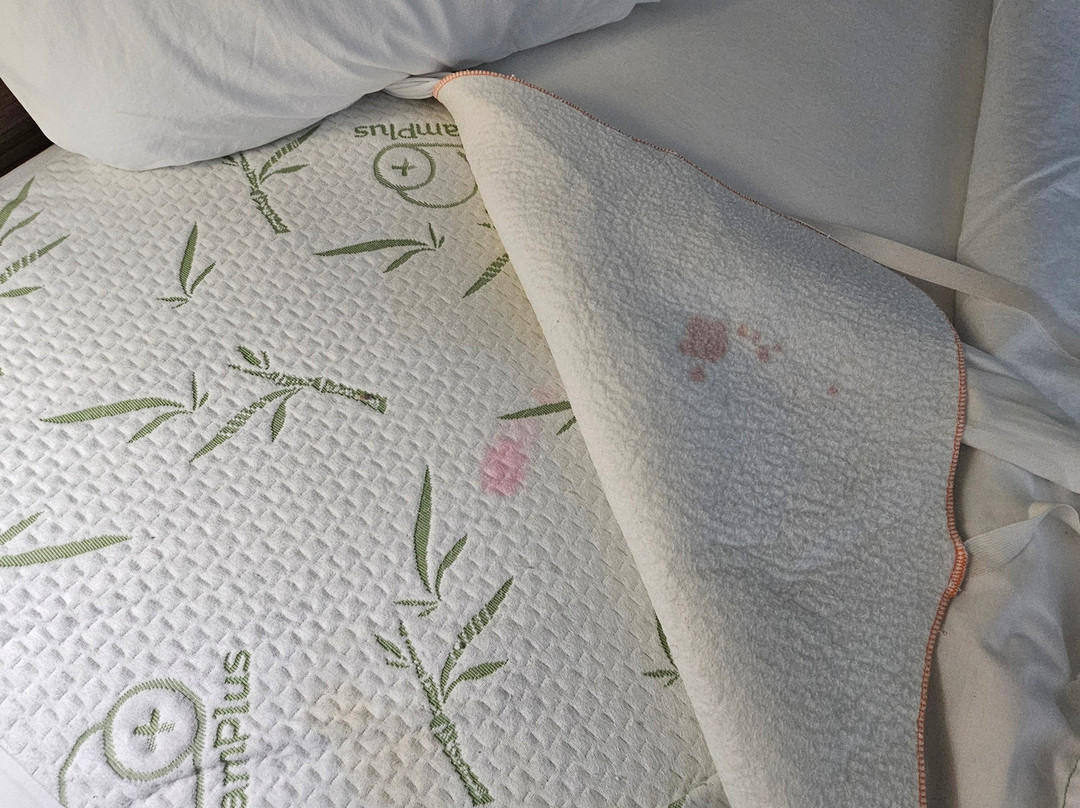 La Quinta Inn & Suites by Wyndham Sevierville / Kodak主图