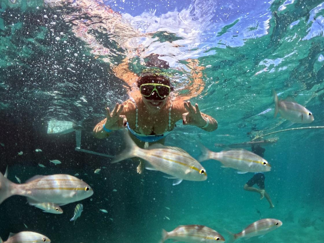 Maracajaú Diver-Maracajau必去景点