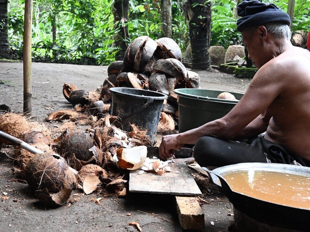 Green Bikes Bali-达巴南必去景点
