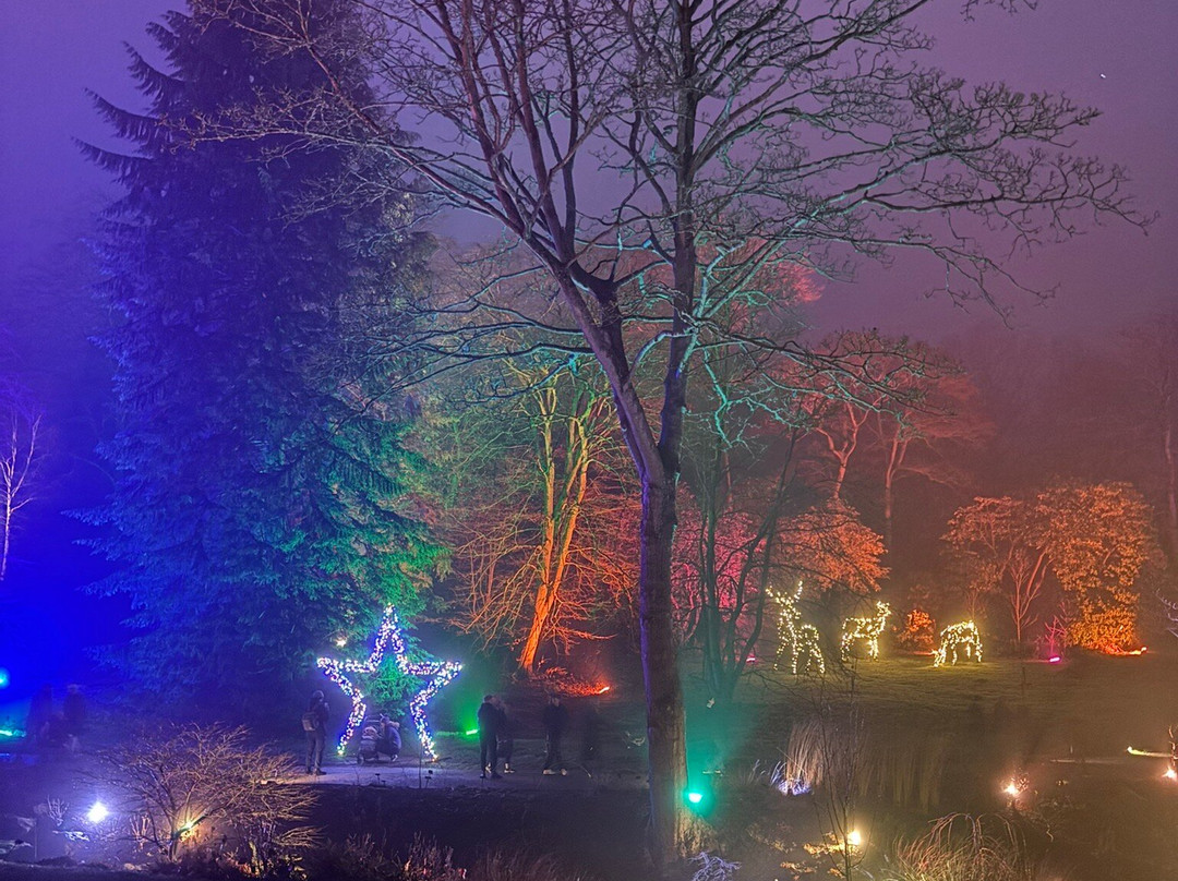 RHS Garden Harlow Carr-哈罗盖特必去景点