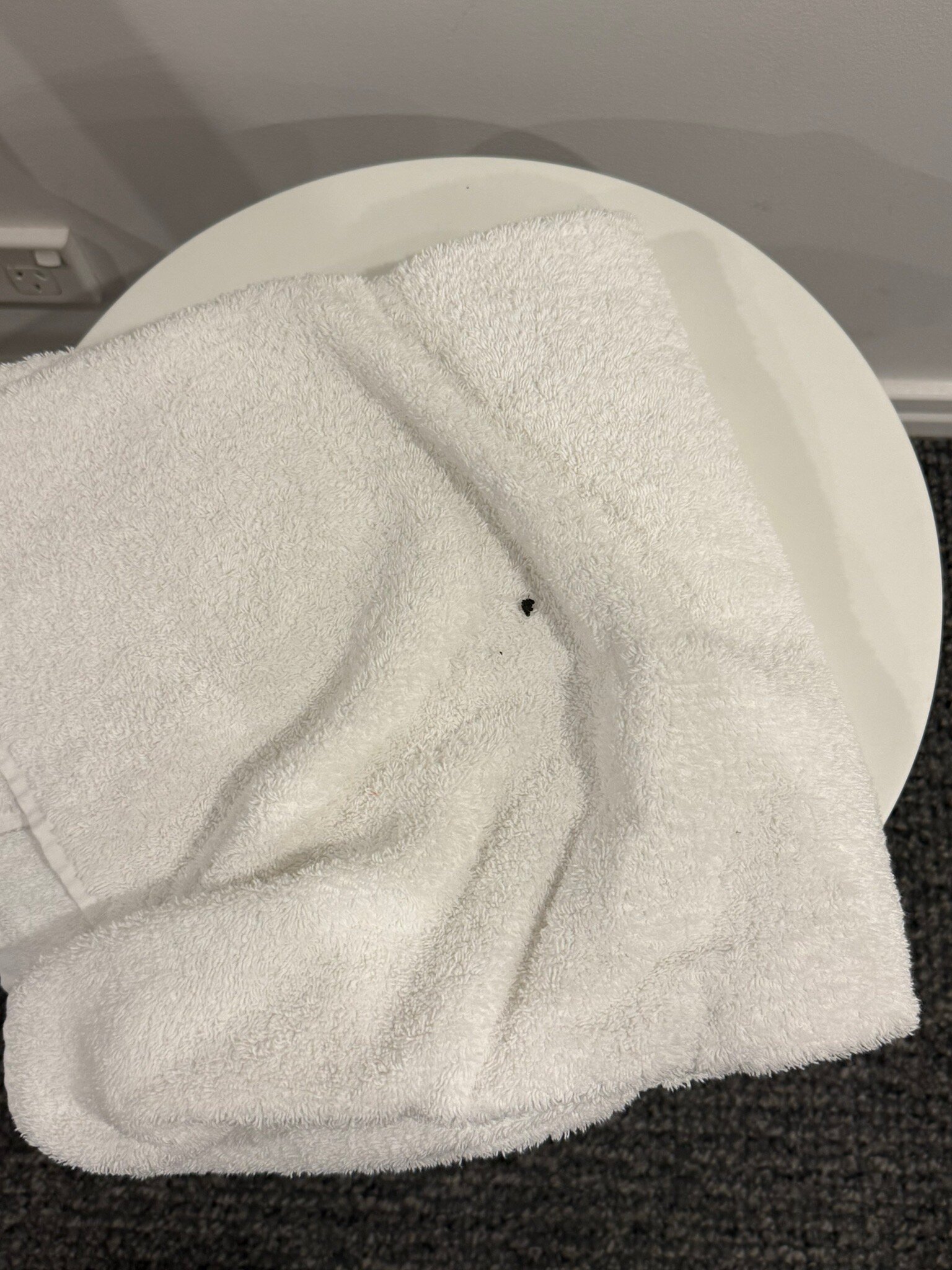 希尔顿冲浪者天堂公寓酒店-官方