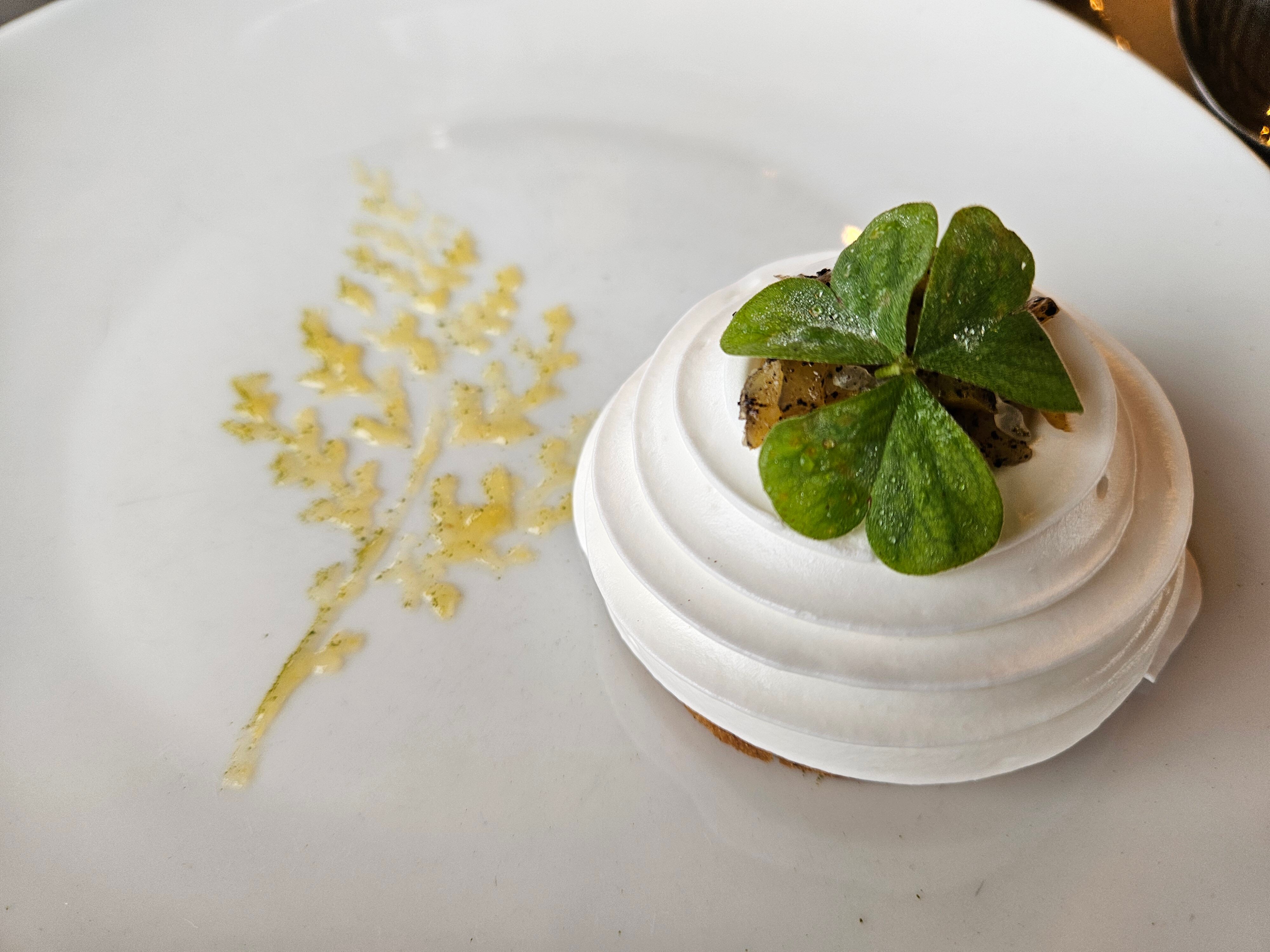 雷德庞当斯德蒙雷库酒店-官方