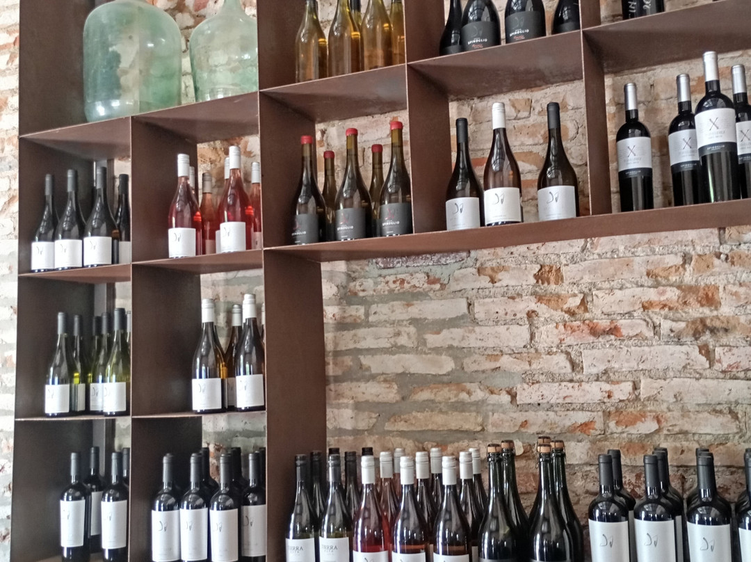 Bodega Spinoglio-蒙得维的亚必去景点